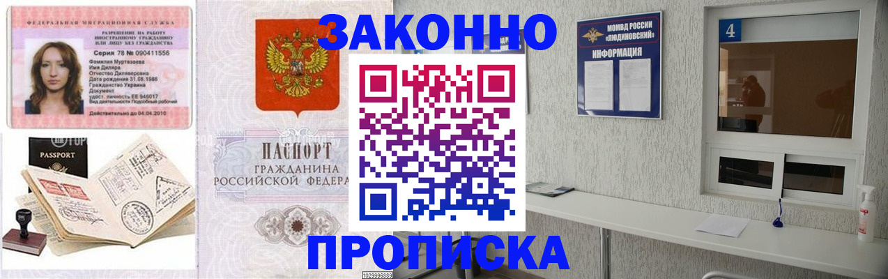 прописка в квартире в Чкаловске